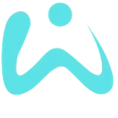 Website designer